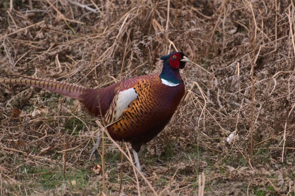 <br><small>Sevenoaks, Kent, UK</small><br><small>April 03, 2022</small>