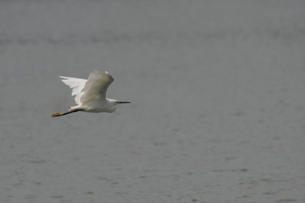 <br><small>Sevenoaks, Kent, UK</small><br><small>August 27, 2023</small>