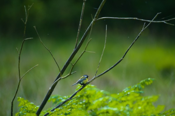 <br><small>April 29, 2024</small>