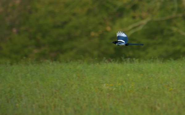 <br><small>April 29, 2024</small>