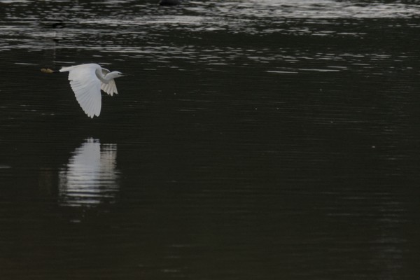 <br><small>Sevenoaks, Kent, UK</small><br><small>October 01, 2023</small>