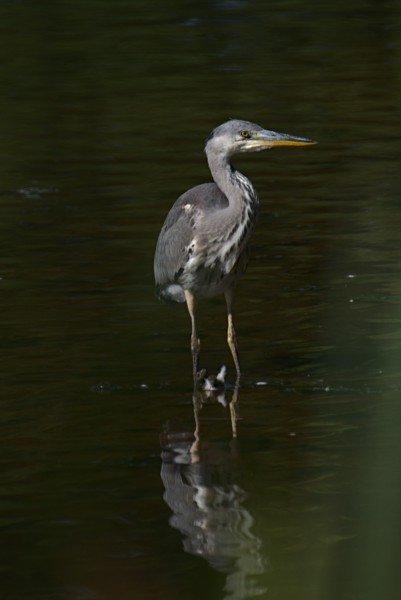 <br><small>Sevenoaks, Kent, UK</small><br><small>August 21, 2022</small>