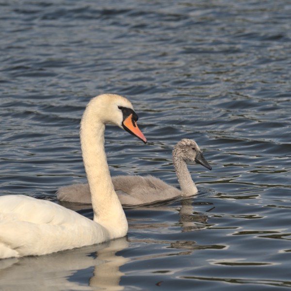 <br><small>Eastbrookend, London, UK</small><br><small>June 19, 2023</small>
