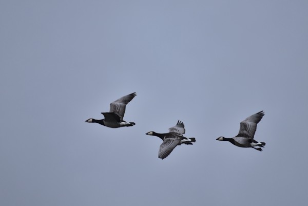 <br><small>Keswick, Lake District, UK</small><br><small>April 10, 2023</small>
