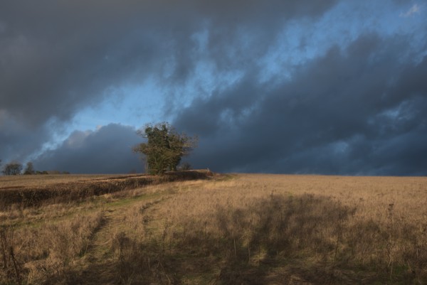 <br><small>Chorleywood, Hertfordshire, UK</small><br><small>January 29, 2022</small>