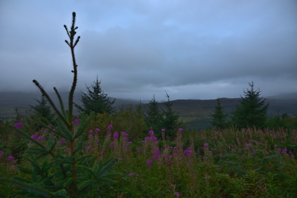 <br><small>Isle of Skye, UK</small><br><small>September 13, 2022</small>