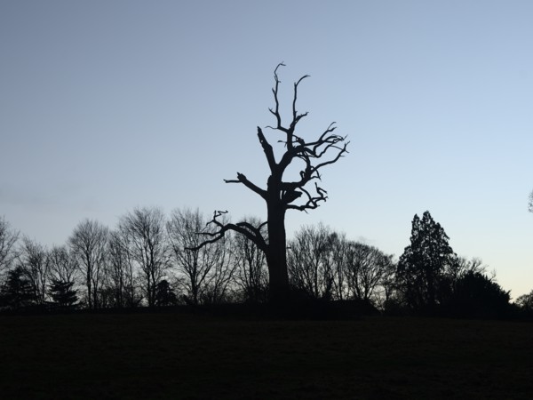 <br><small>Chorleywood, Hertfordshire, UK</small><br><small>January 29, 2022</small>