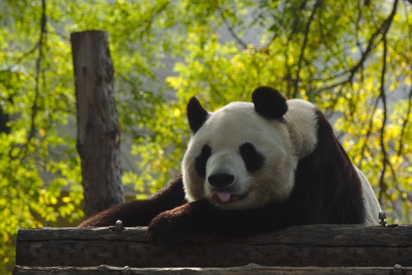 <br><small>Beijing, China</small><br><small>October 22, 2019</small>