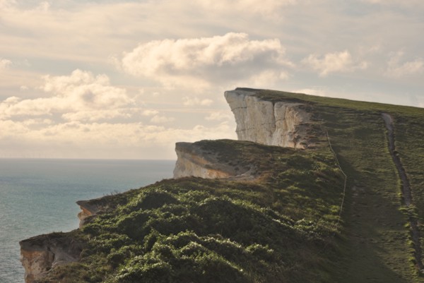 Albion Coast