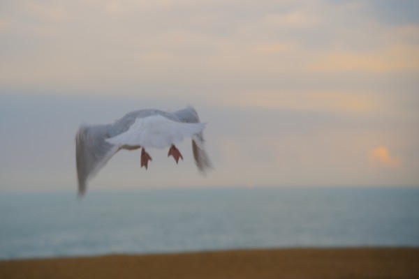 Chasing the Day...<br><small>Folkestone, Kent, UK</small><br><small>June 30, 2024</small>