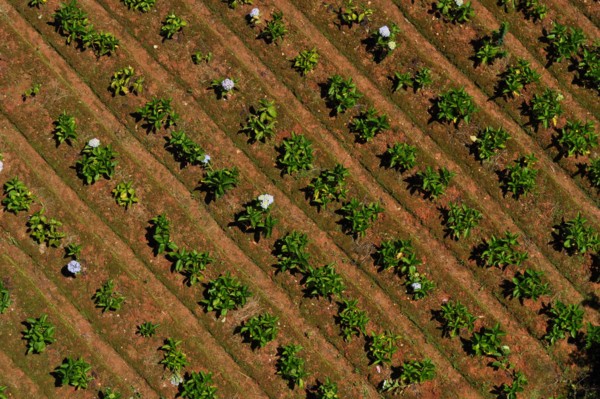 <br><small>July 10, 2013</small>